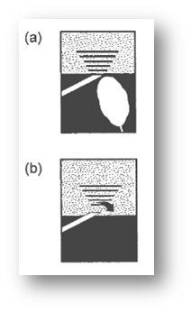 fig.2